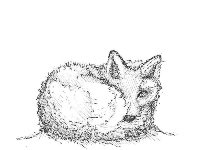 Audit Energétique : Solutions de Rénovation&nbsp;Durable