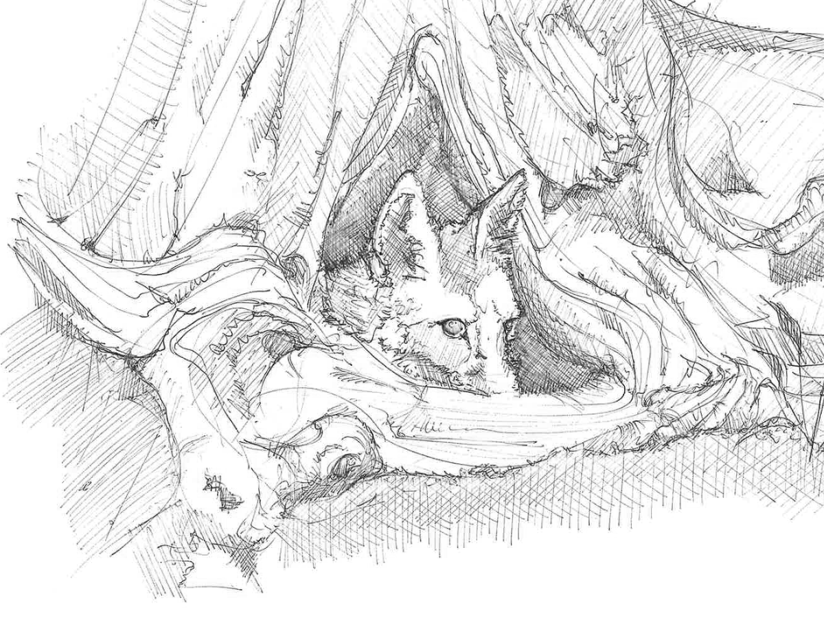 L&rsquo;importance du détail en&nbsp;Architecture